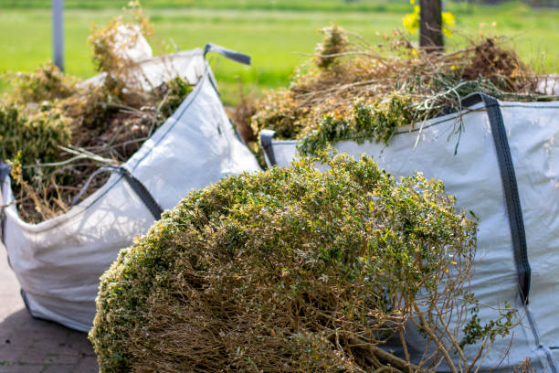 Shed Removal in Kingsville, MD